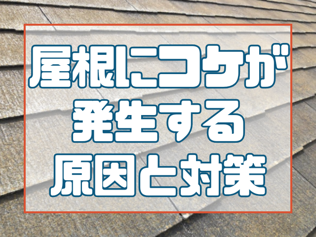 屋根に苔が発生する原因と対策