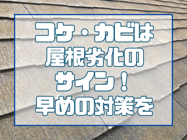 コケ・カビは屋根劣化のサイン！放置せず早めの対策を